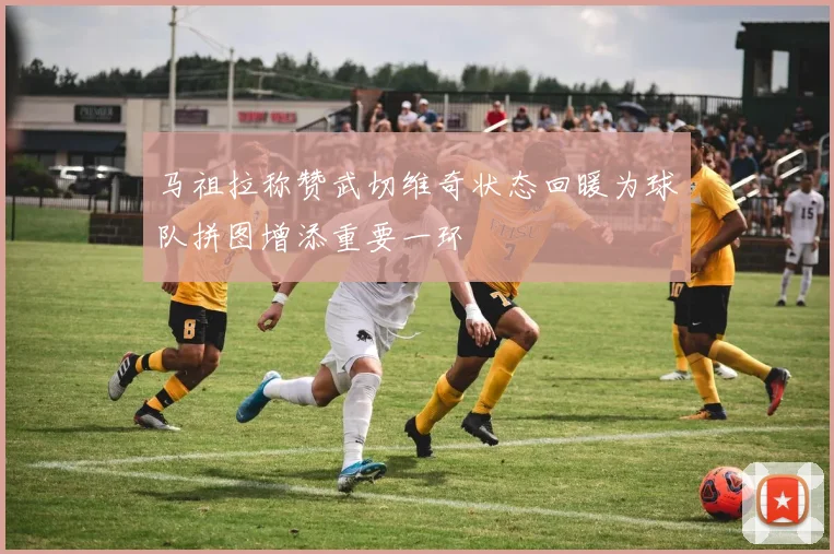 马祖拉称赞武切维奇状态回暖为球队拼图增添重要一环