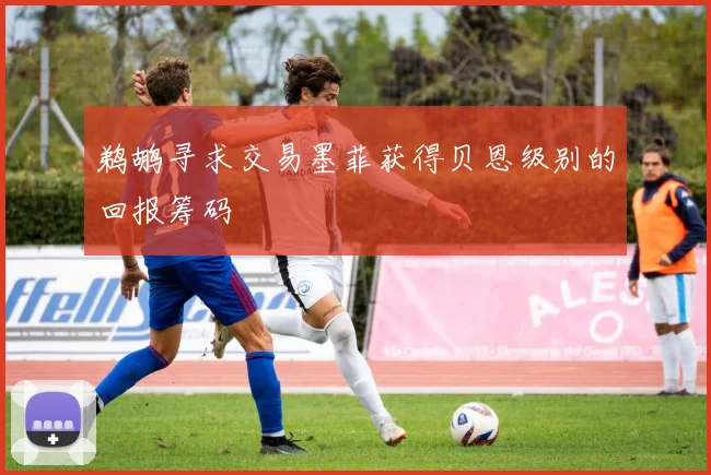 鹈鹕寻求交易墨菲获得贝恩级别的回报筹码